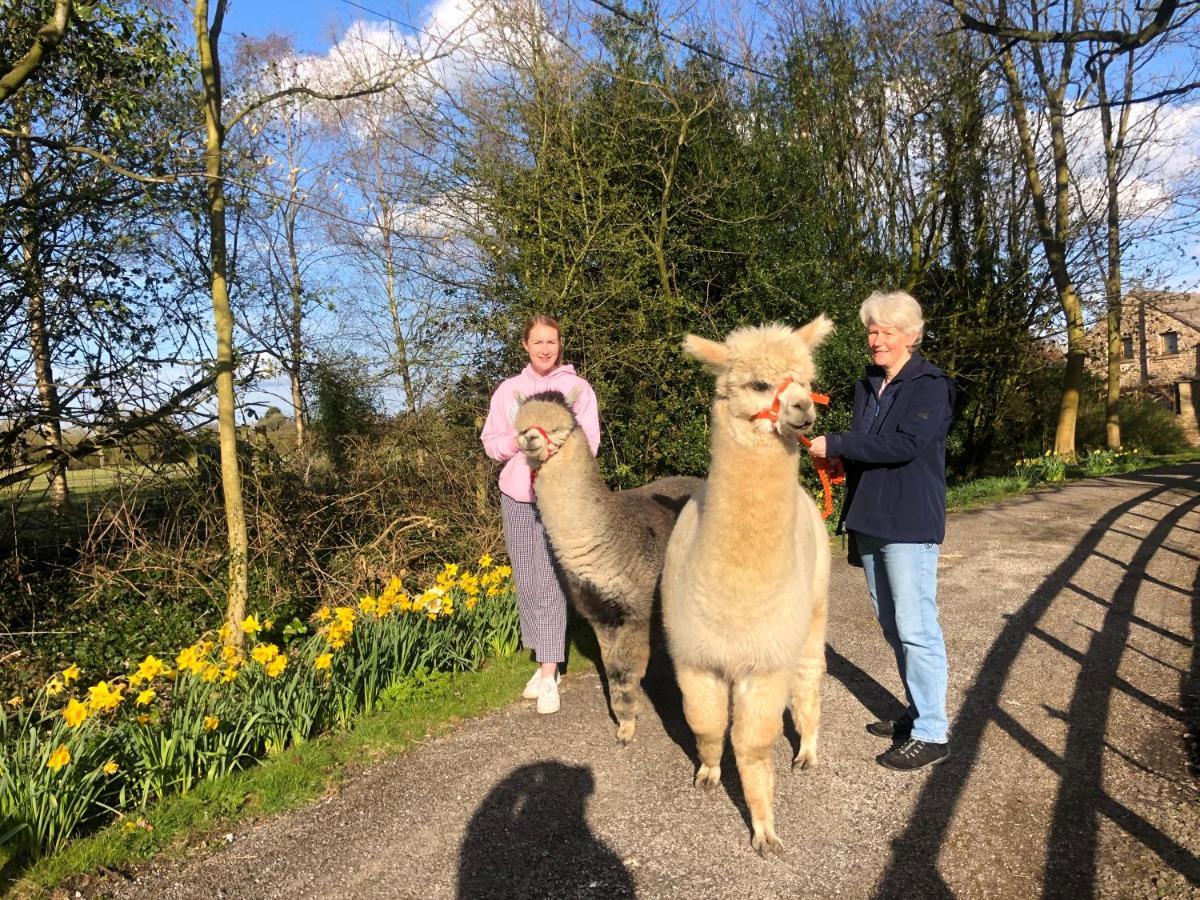 Alpaca Fold Villa Preston  Eksteriør billede