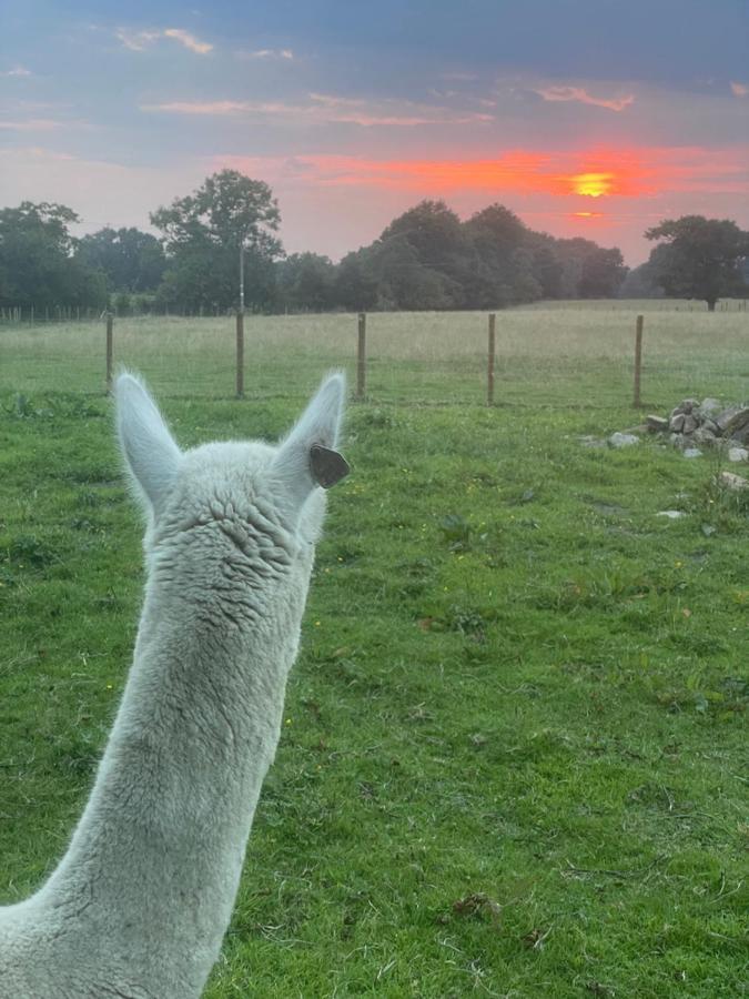 Alpaca Fold Villa Preston  Eksteriør billede